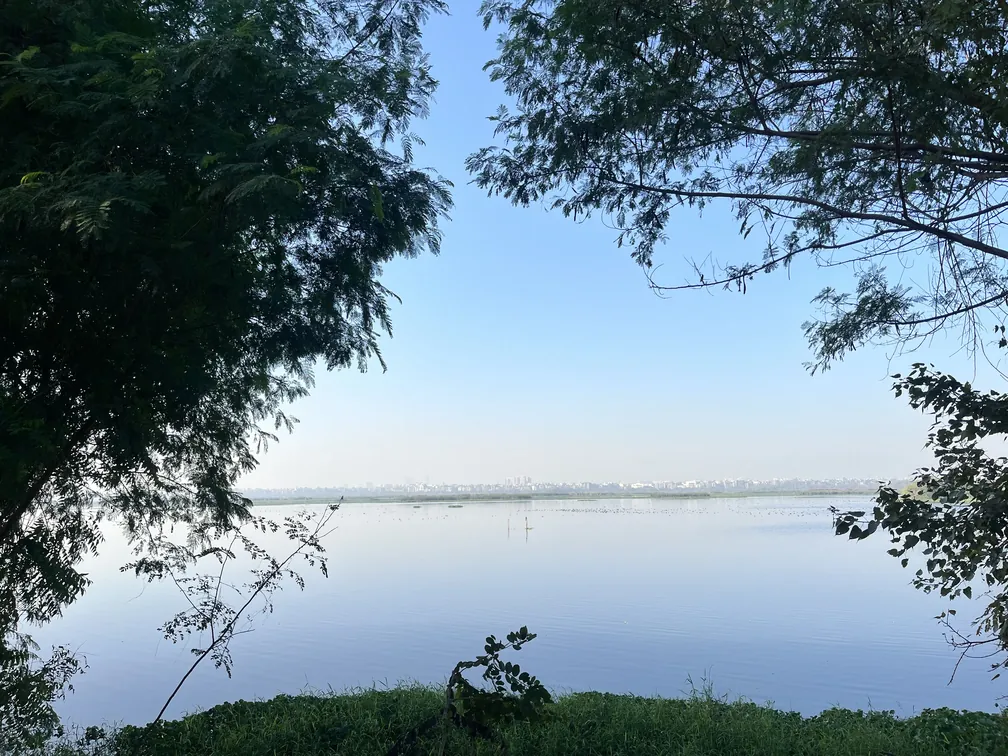 South Delhi in the distance, from Okhla Bird Sanctuary in Noida