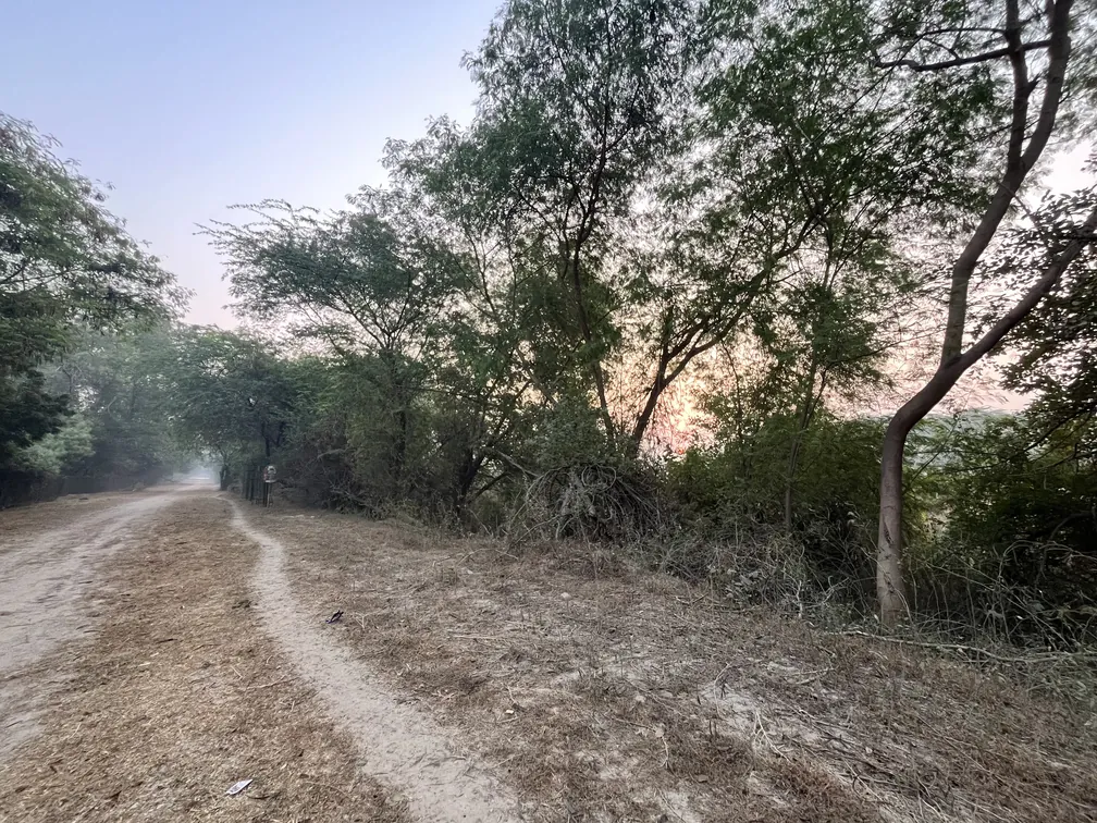 Stretch going towards Yamuna river