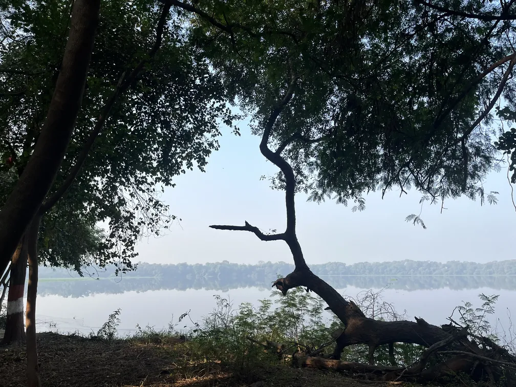 View of the Yamuna river from the walking track