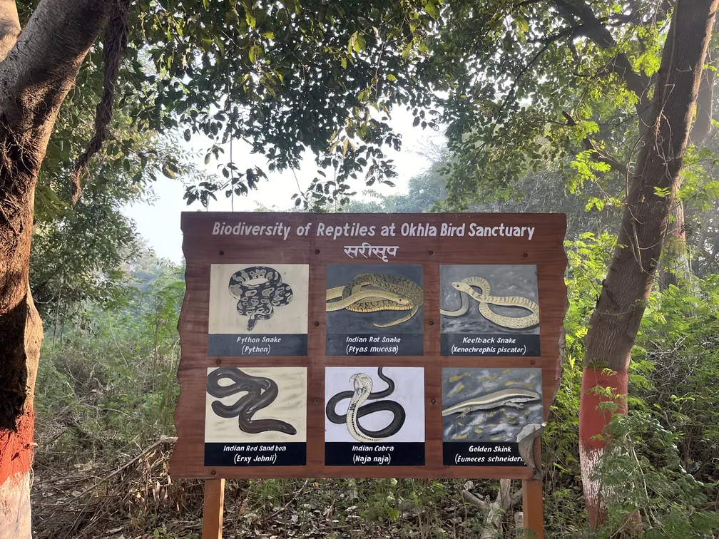 Region is home to variety of snakes, that you are likely not to see