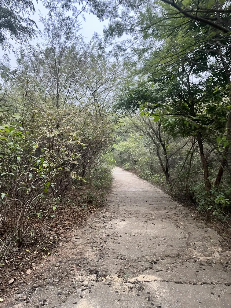 Aravali Biodiversity Park