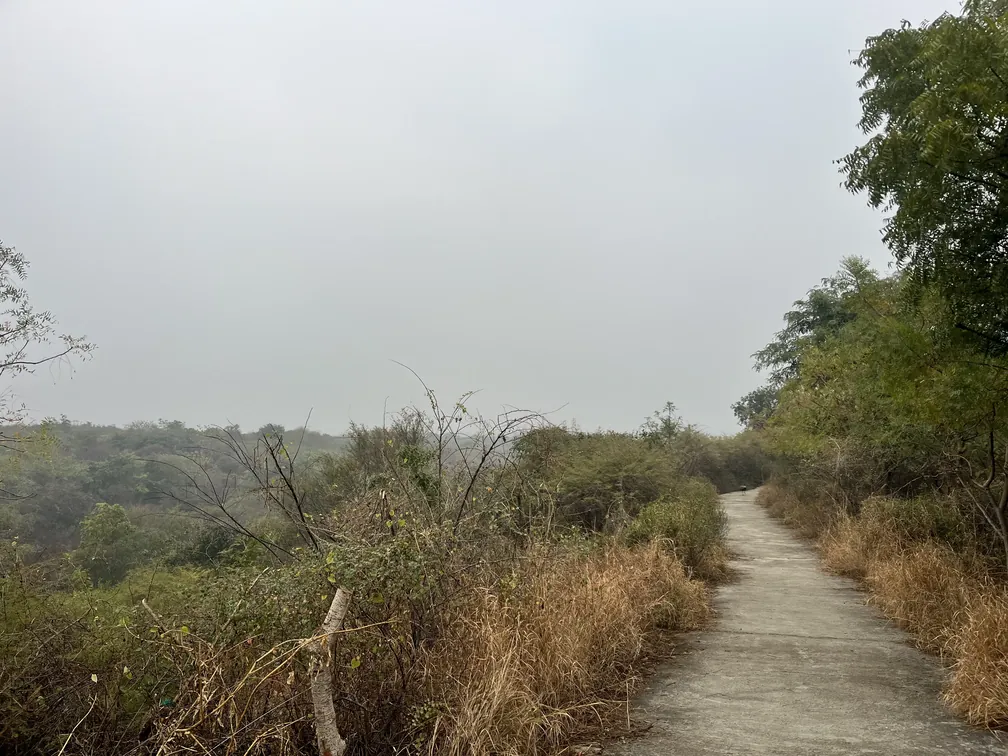 Aravali Biodiversity Park