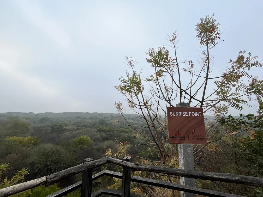 Aravali Biodiversity Park