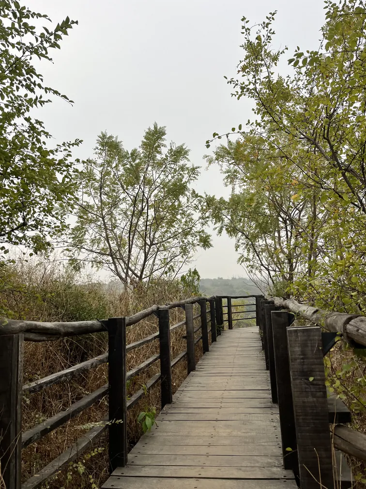 Aravali Biodiversity Park