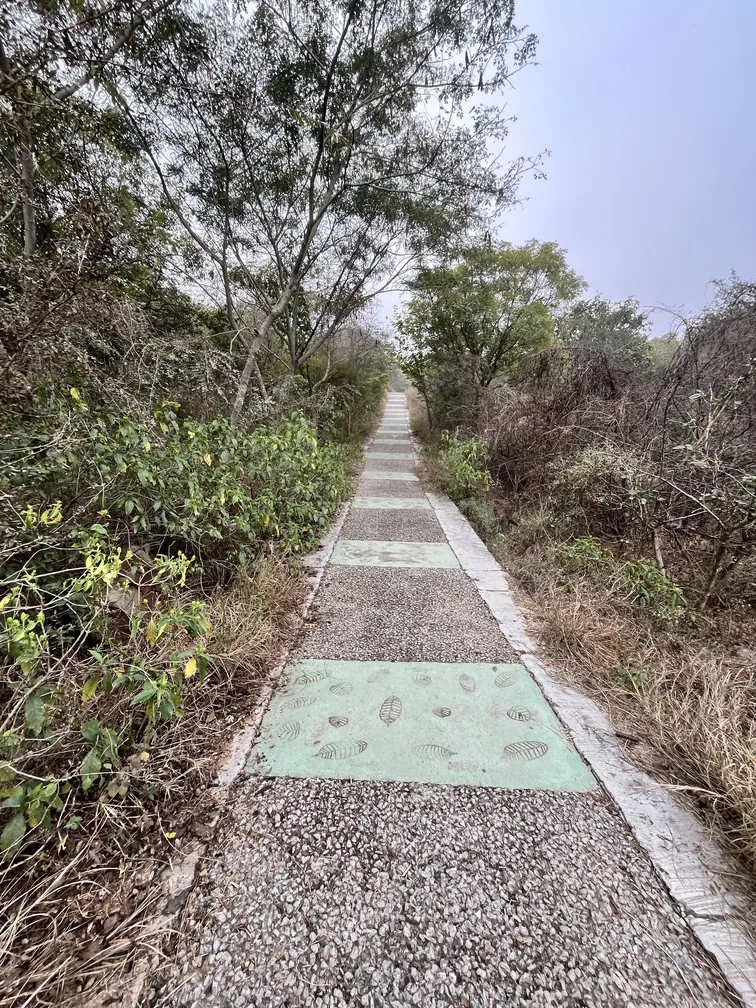 Aravali Biodiversity Park