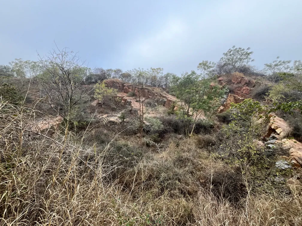 Aravali Biodiversity Park