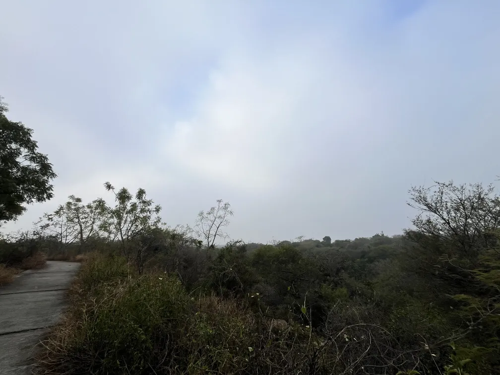 Aravali Biodiversity Park